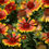 Thumbnail: Blanket Flower Gaillardia x grandiflora 100 Seeds  USA Company
