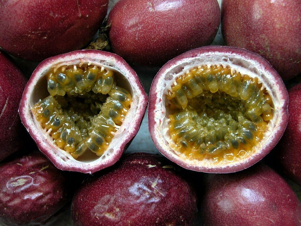 Thumbnail: Passion Fruit   100 Seeds   Purple Granadilla Passiflora edulis
