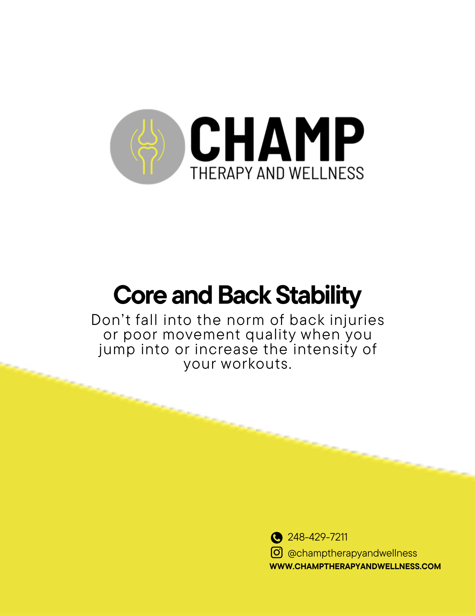 Core and Back Stability Program
