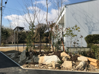 エントランスに小さな雑木林