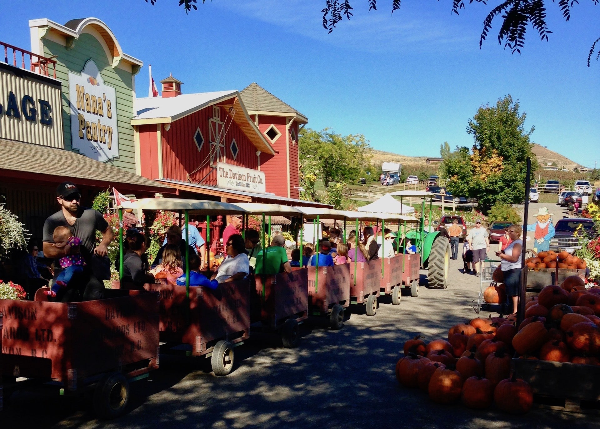 Davison Orchards Family Farm Near Advent