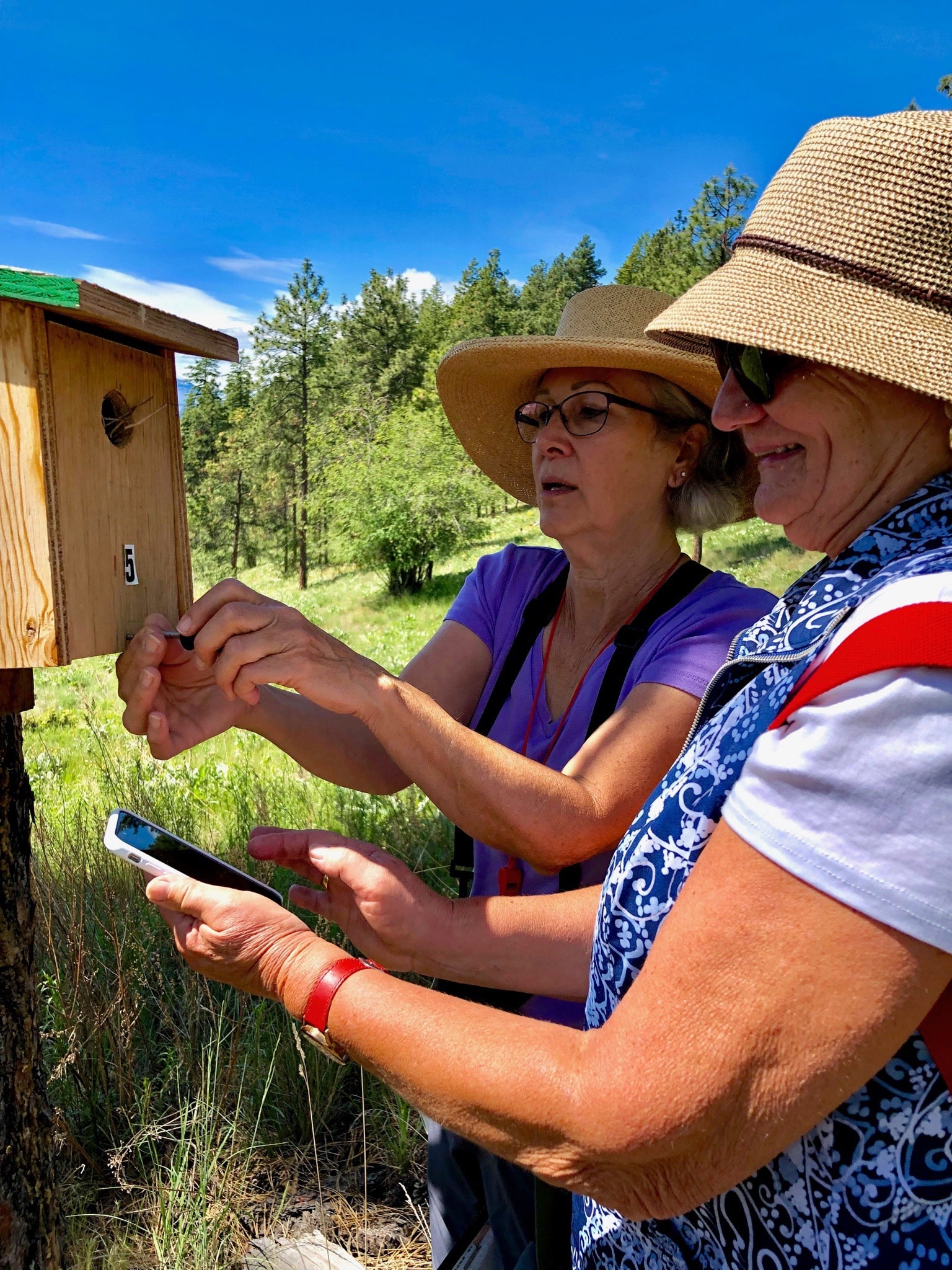 Adventure Bay Vernon Bluebird Society Me
