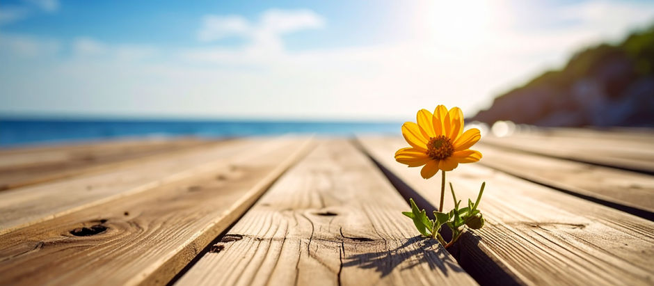 Why would I start a small business in a recession?