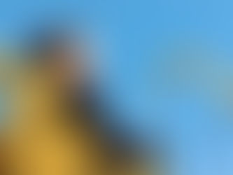 From Stress to Success: Managing the Emotional Rollercoaster of Entrepreneurship