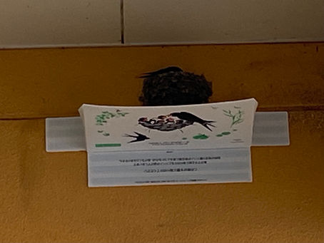 練習その9 運指