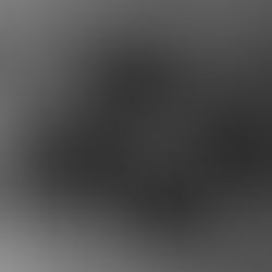 NYCB Vol. 11 No. 8 - Bourrée Fantasque