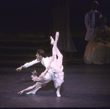 NYCB Vol. 6 No. 23 - Sleeping Beauty