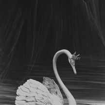 NYCB Vol. 2 No. 21 - Swan Lake