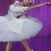 NYCB Vol. 14 No. 22 - Swan Lake