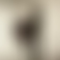 NYCB Vol. 7 No. 4 - Afternoon of a Faun