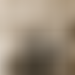 Chicago 50 - No. 11 - The Silent Film (1927)