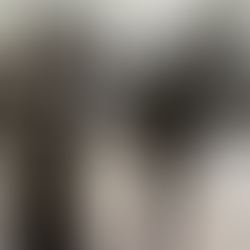 SAB 90 - Helene Dudin