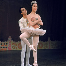 NYCB Vol. 5 No. 1 - Nutcracker