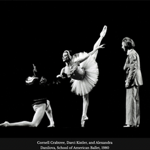 NYCB Vol. 14 No. 20 - Swan Lake