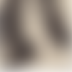 NYCB Vol. 6 No. 22 - Sleeping Beauty