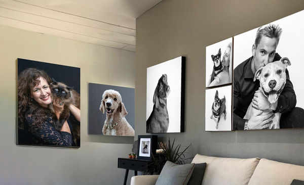 Pet model call 3.jpg