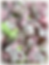 Miniatura: Shabby Chic - Despedida de Soltera 30 PIEZAS