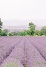 Provence France