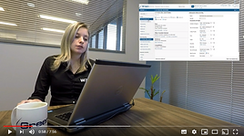Video_Interface_Basica_Greendocs.PNG