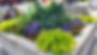 Door County Master Gardener desgned planter at the Sturgeon Bay Library