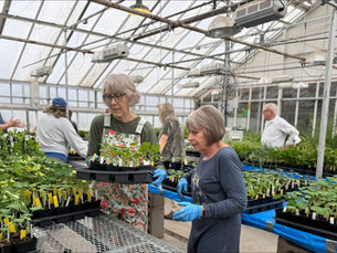 Door County Master Gardeners in the greenhouse