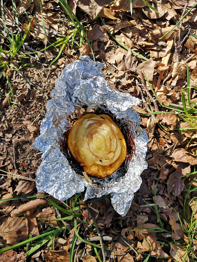 FIRE PIT FOODS CHILDREN WILL LOVE