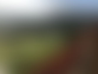 長野県 奥志賀に行ってきました