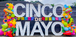 C6DE70E4-D57A-40F1-B3B5-2FE794125024