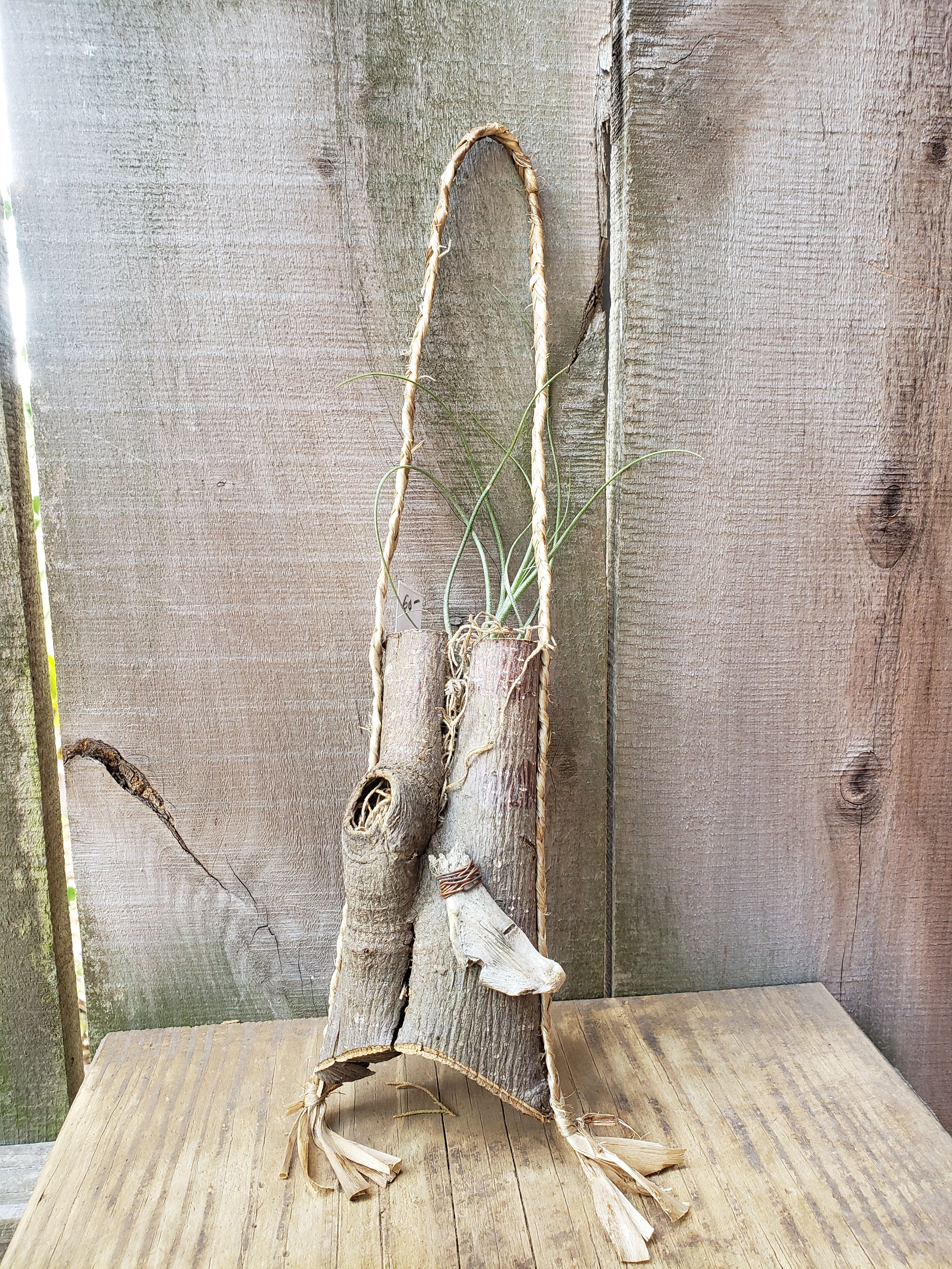 Bark Basket - Long Flight