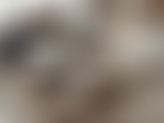 Villa Design in Dubai