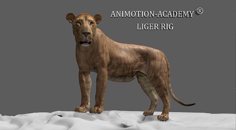 RIG_LIGER_B.jpg