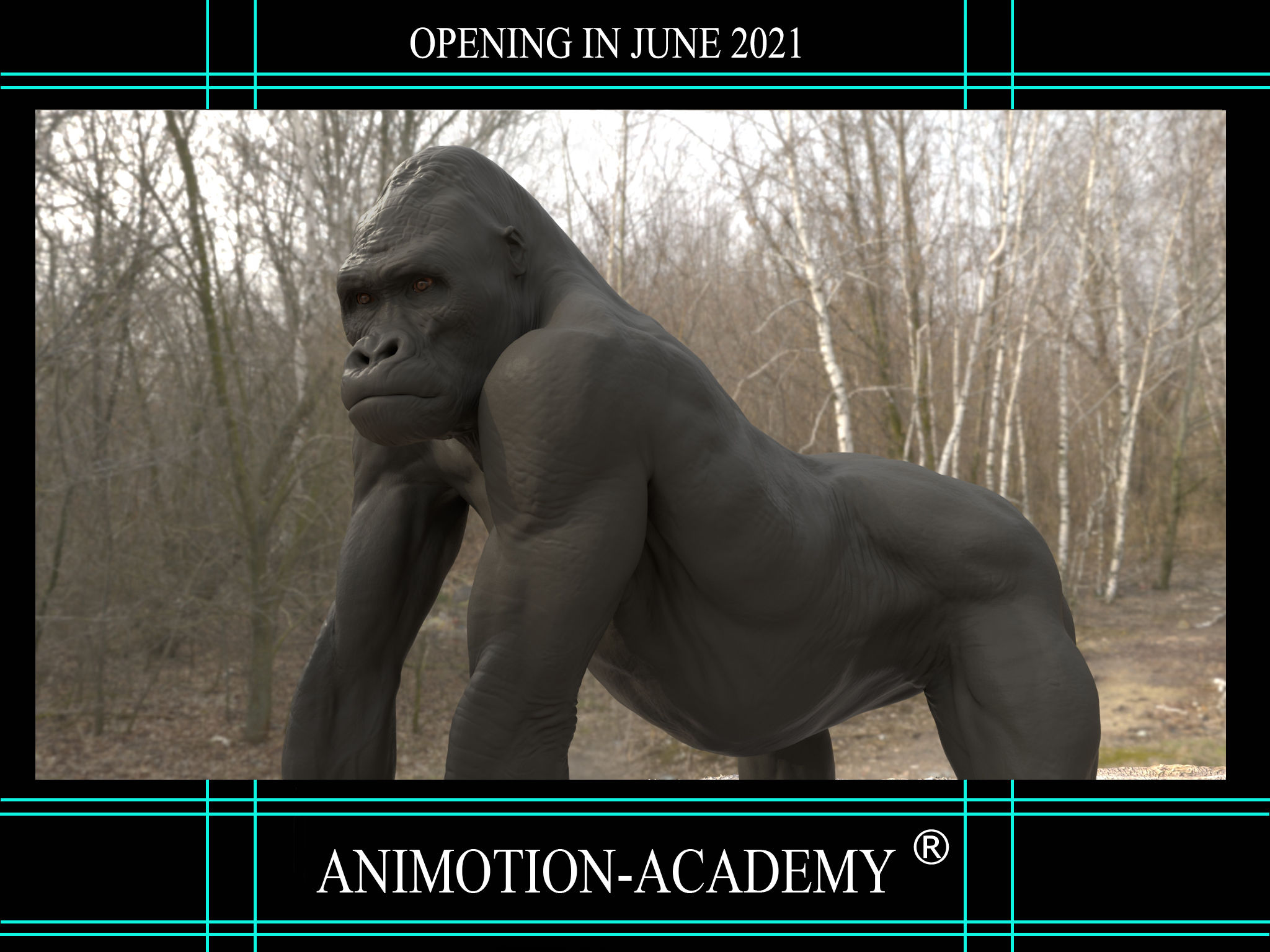 Silverback Gorilla Motion Library. FBX, Maya