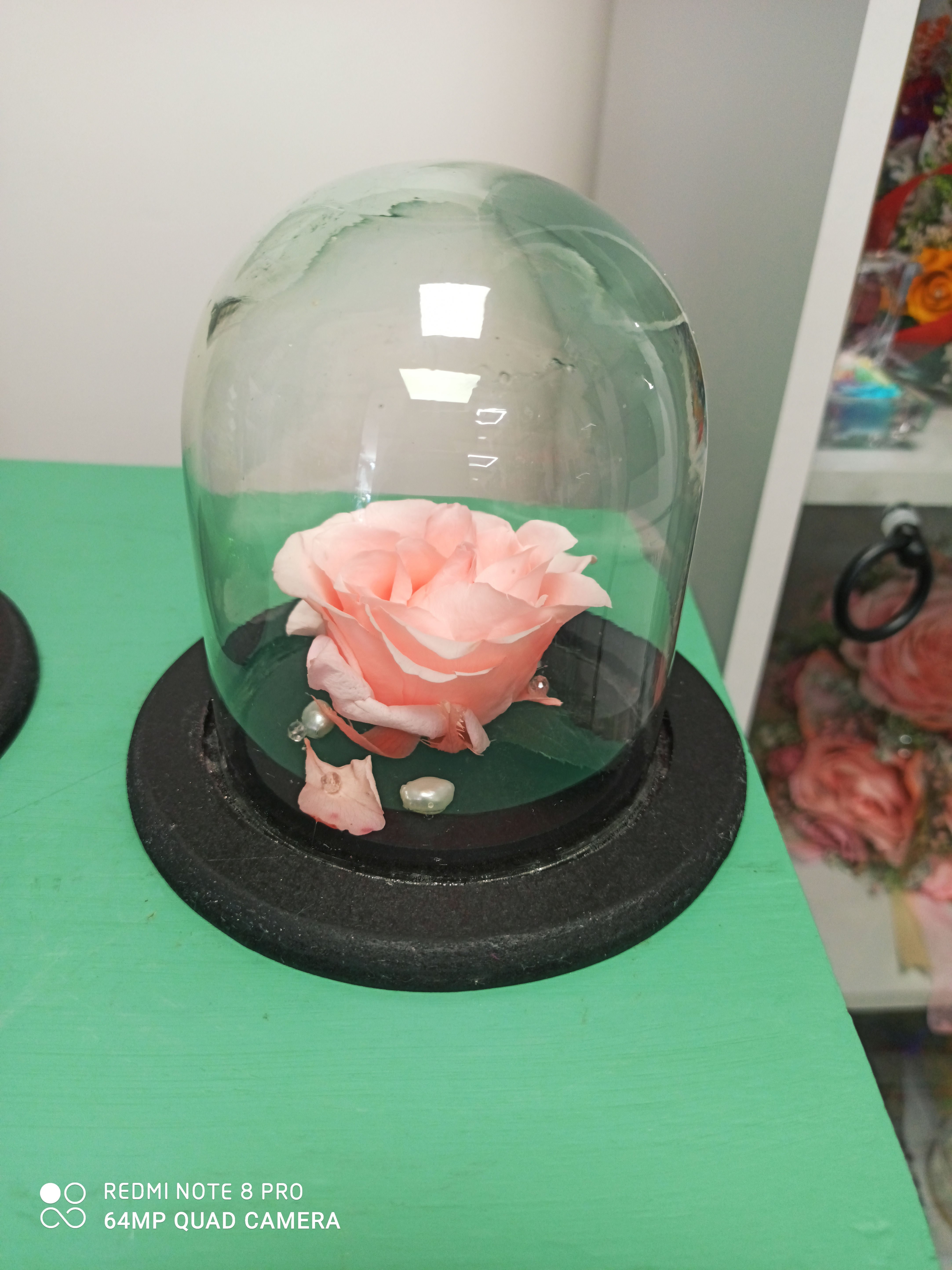 Rosas capelo