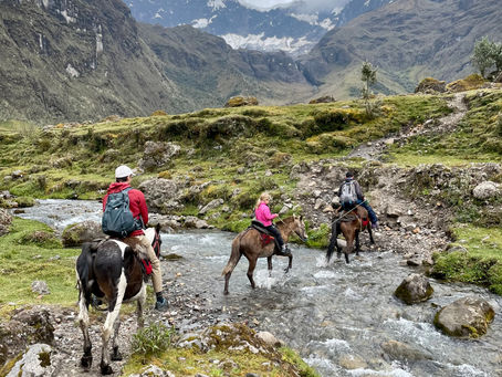 WHERE ARE THE HORSES?