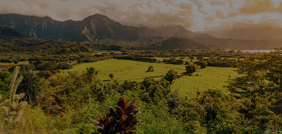panoramic-shot-beautiful-nature-kauai-island-hawaii_edited.jpg