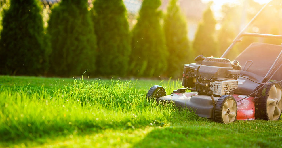 What to do before lawn mowing services darwin arrive?