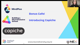 Introducing Capiche