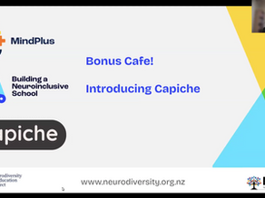 Introducing Capiche
