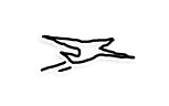 Patti Paige - Plane.png