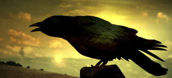 Raven ~ Bran: Bendigeidfran.