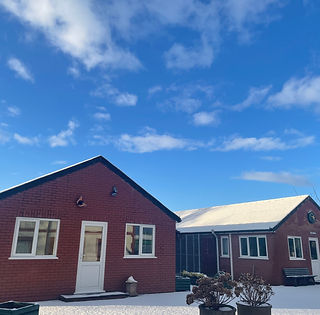 nany y crabbas cattery