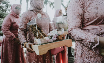 hantaran-10