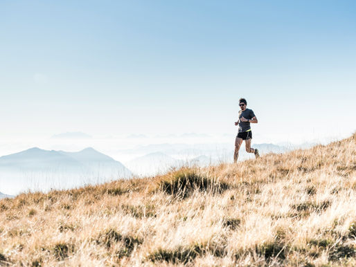 Cardiac Drift: What It Means and Why It Matters for Endurance Performance Training