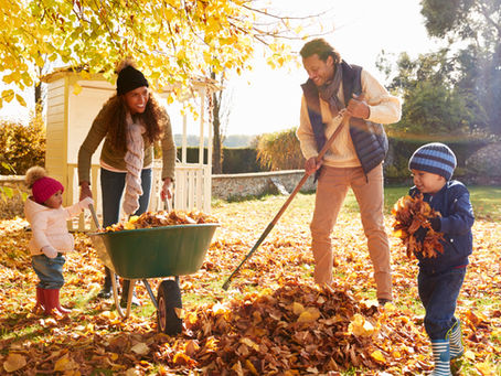 Preparing your garden, your plants and the outside of your home before winter