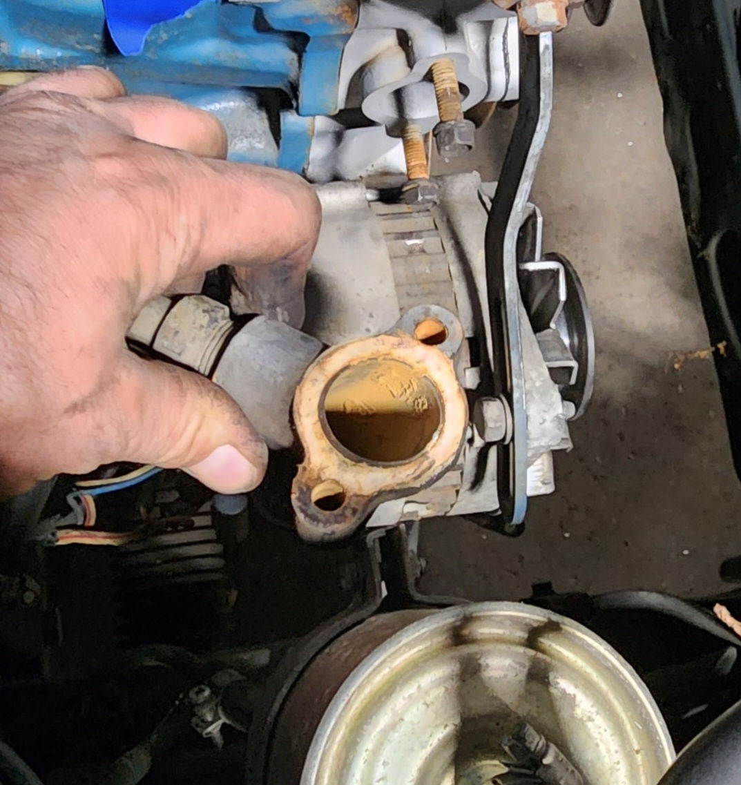 L SERIES THERMOSTAT GASKET