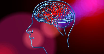 que-trata-la-neuropsicologia-social.jpeg