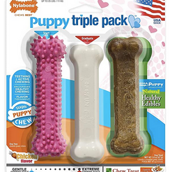 Puppy Chew Toys for Teething Puppies