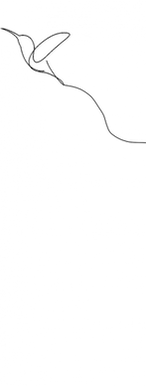4342346_0-copia-2-902x581.png