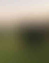 Valerio Vasapollo fotografo matrimonio all'opera stile reportage