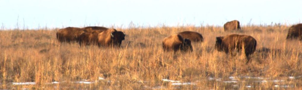 2026-02-02b - 01 - small.JPG